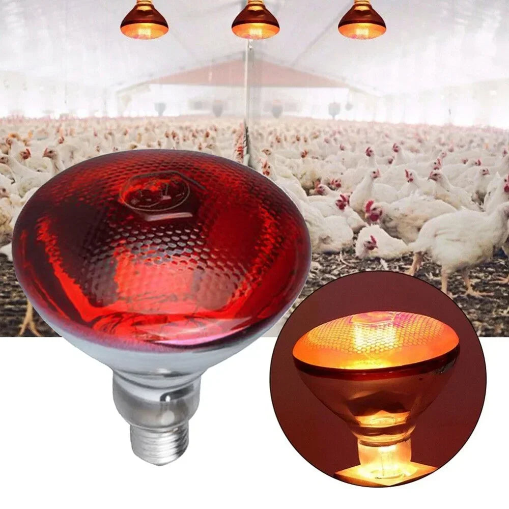 Infrared Heat Lamp for Pets & Reptiles 275W