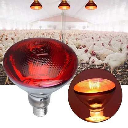 Infrared Heat Lamp for Pets & Reptiles 275W