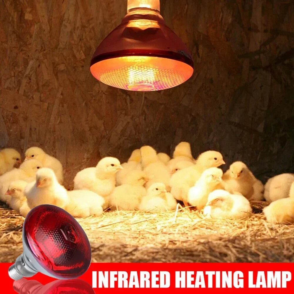 Infrared Heat Lamp for Pets & Reptiles 275W
