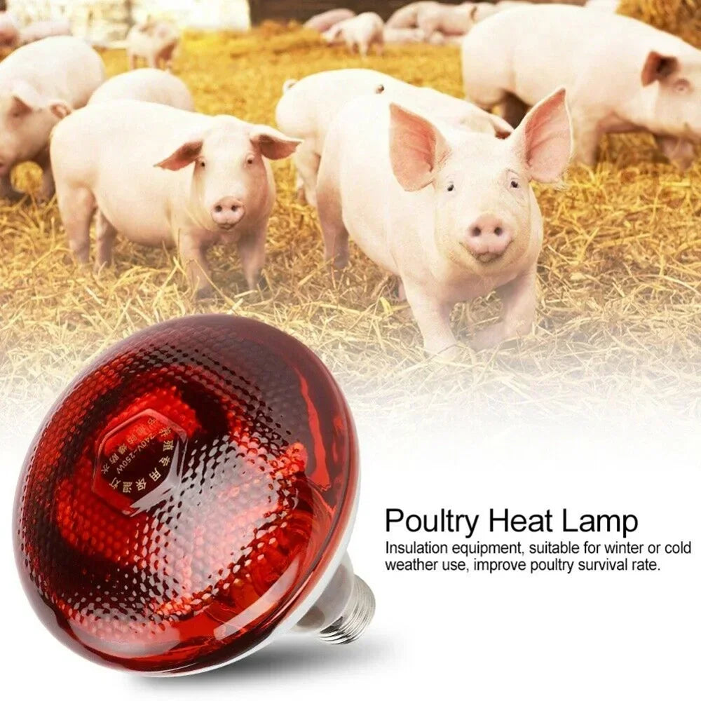 Infrared Heat Lamp for Pets & Reptiles 275W