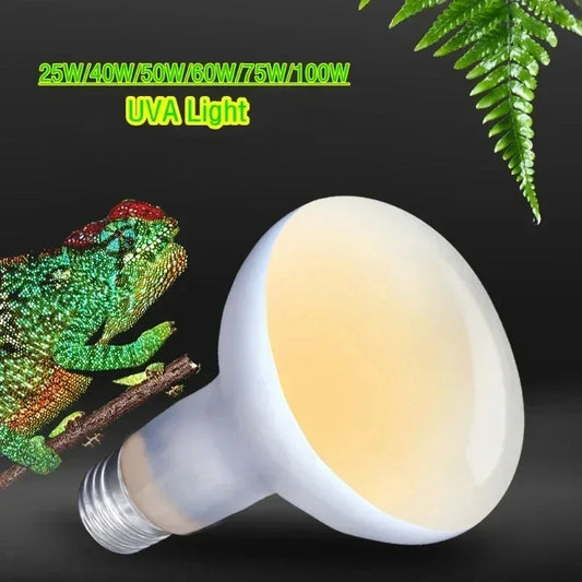 60W Reptile UVB Heat Lamp – UVA+UVB Light for Turtles & Lizards