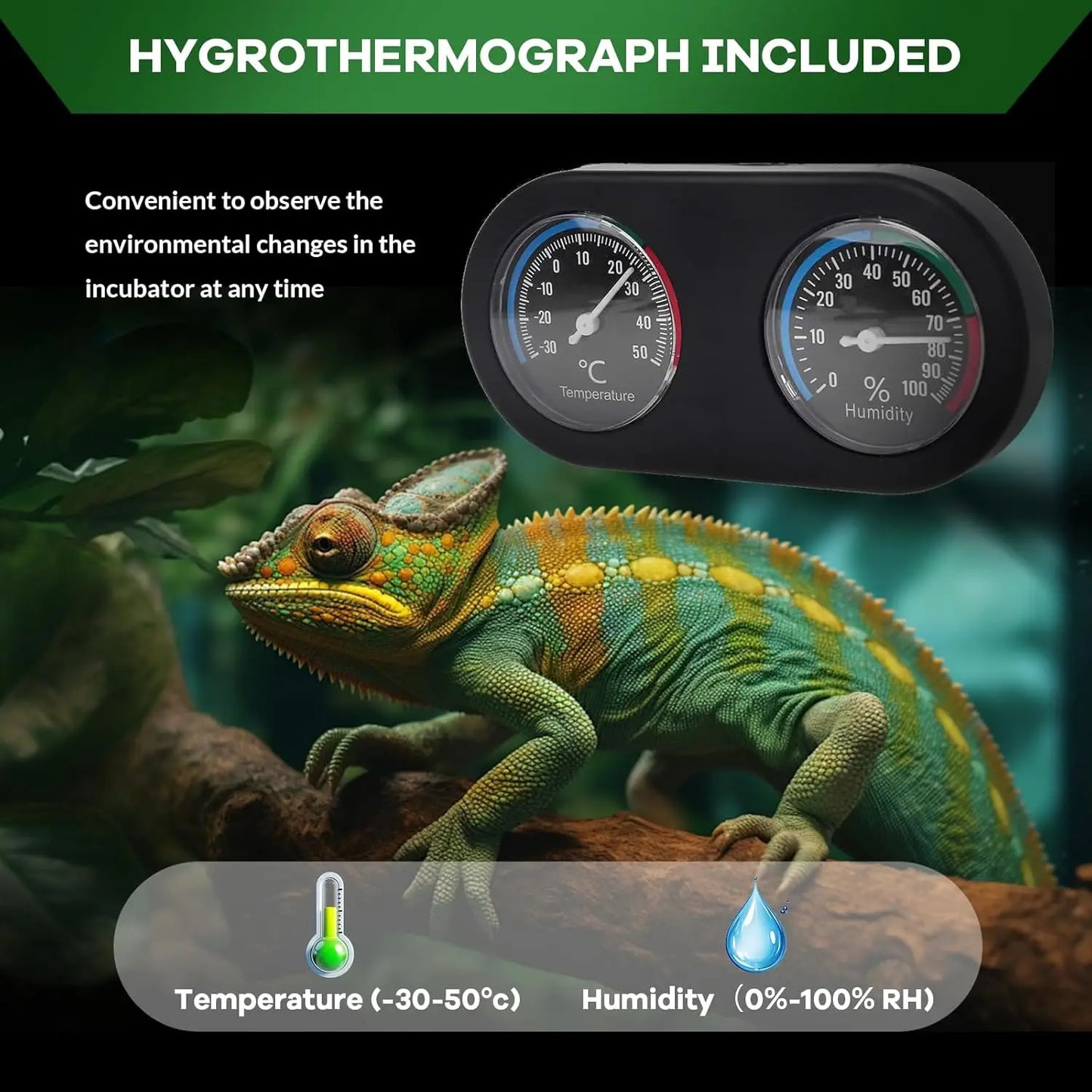 Anti-Escape Glass Reptile Tank – Ventilated Dual-Door Terrarium