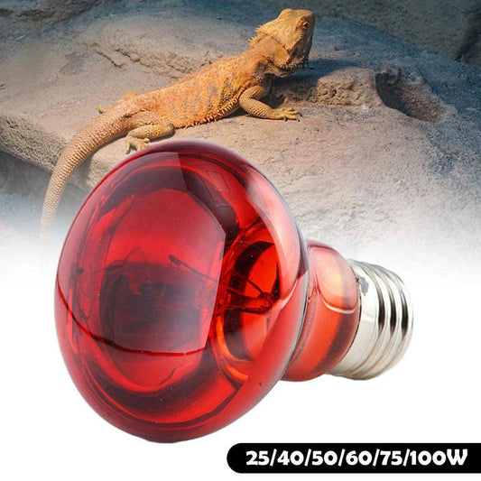 Infrared Heat Lamp – UVA Light for Pets, Reptiles & Plants