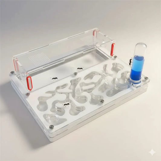 Luxury Acrylic Ant Farm